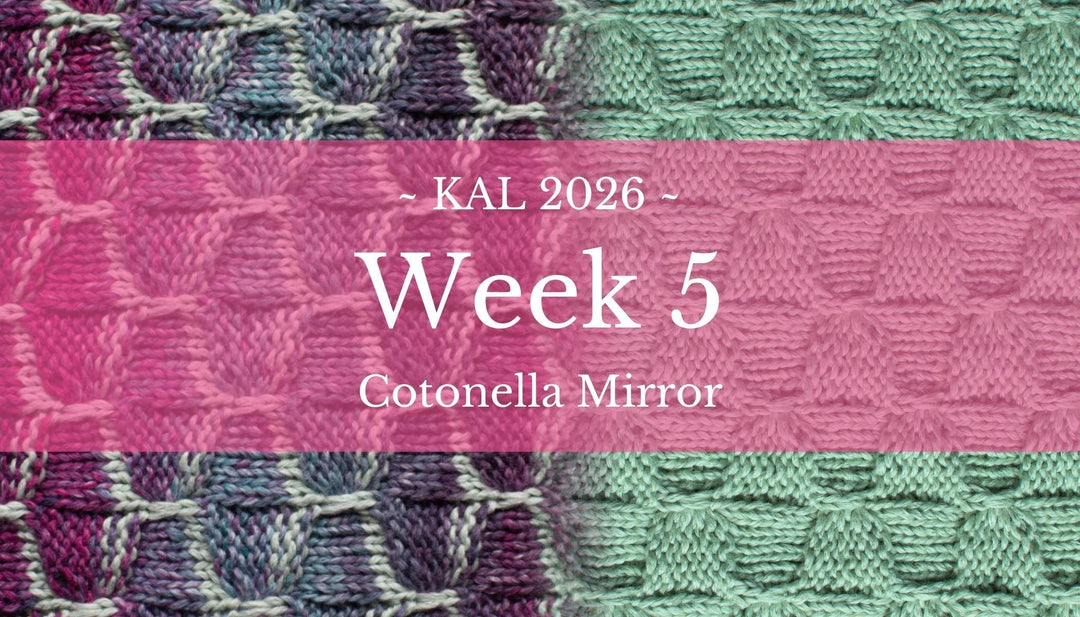 Knit-A-Long | Mirror Sjaal (Week 5)