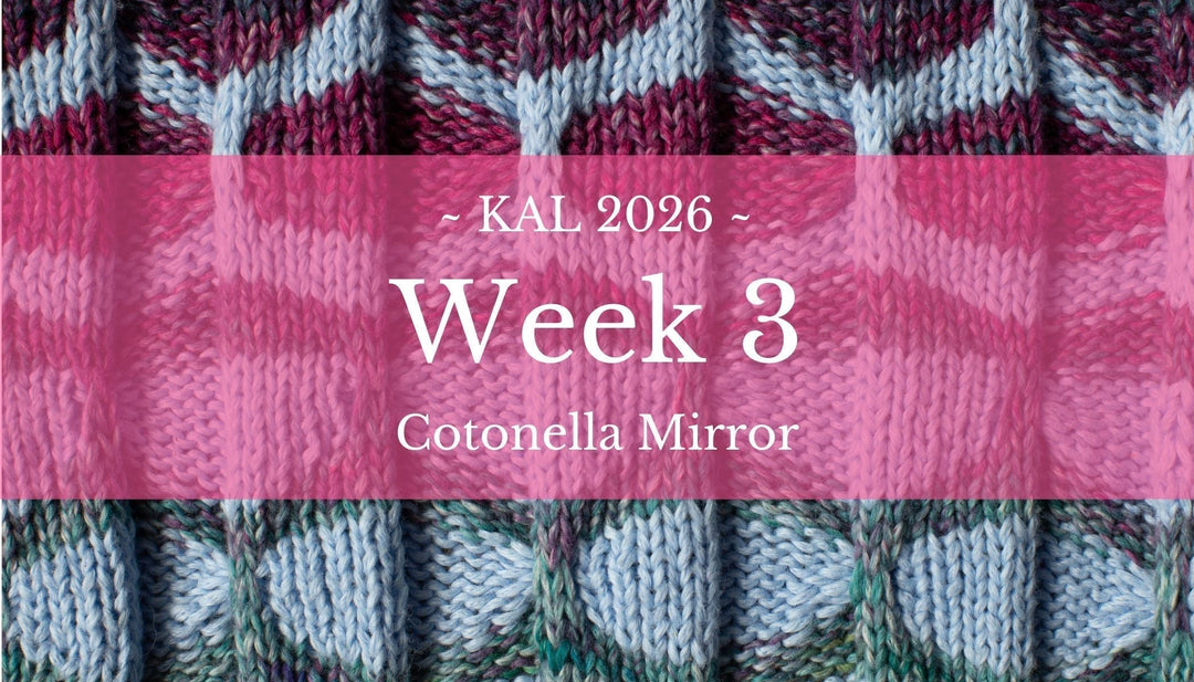 Knit-A-Long | Mirror Sjaal (Week 3)