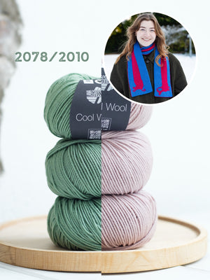 2078/2010