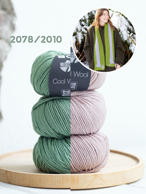 2078/2010