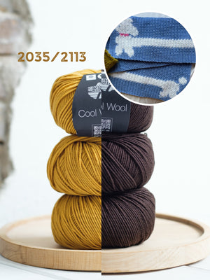 2035/2113