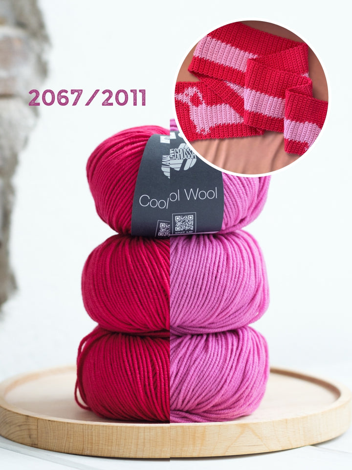 Haakpakket Sausage Dog Scarf - Duits- & Engelstalig - Devout Hand