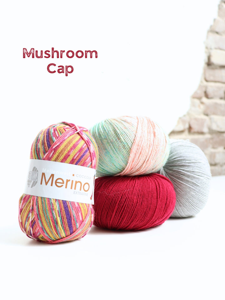 Sokkenwolproeverij Merino