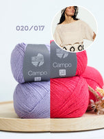 020/017