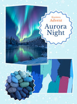 Aurora Night