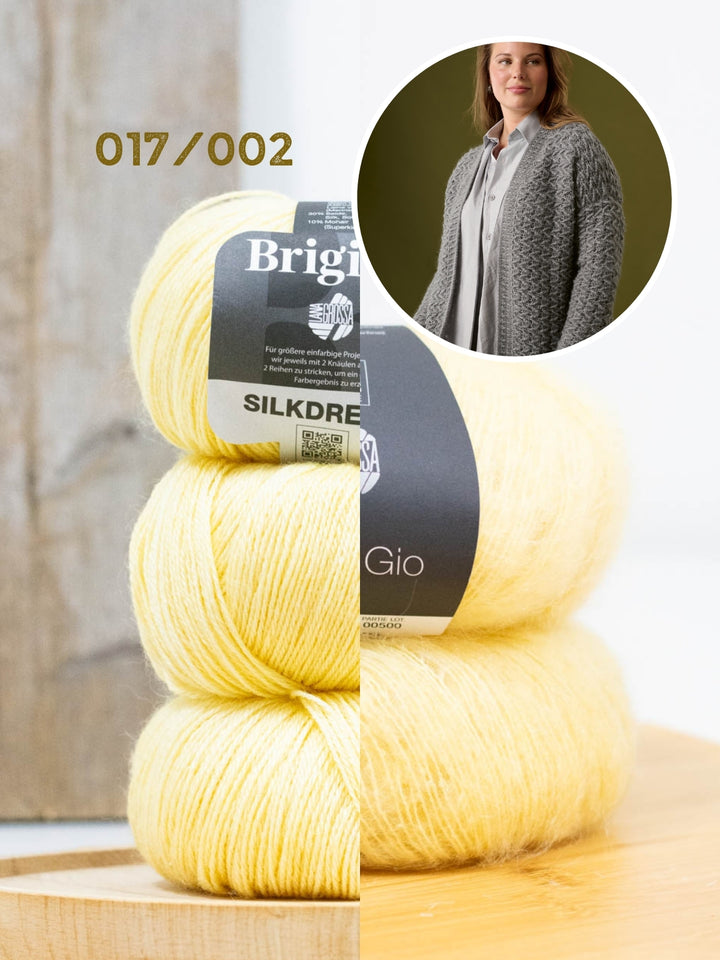 Haakpakket Brigitte Silkdream &amp; Filo Di Gio vest