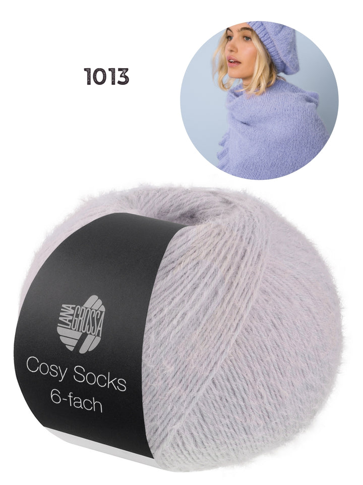 Breipakket Cosy Socks 6-fach kleur 1013