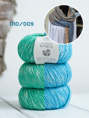 010/009