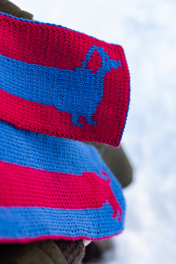 Breipakket Sausage Dog Scarf - Engelstalig - Devout Hand